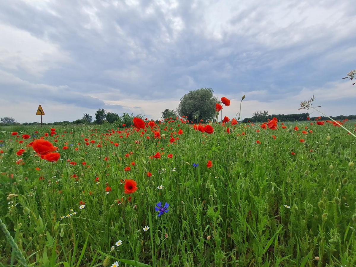 Siedlisko Jozefka Villa Zarobka Dış mekan fotoğraf