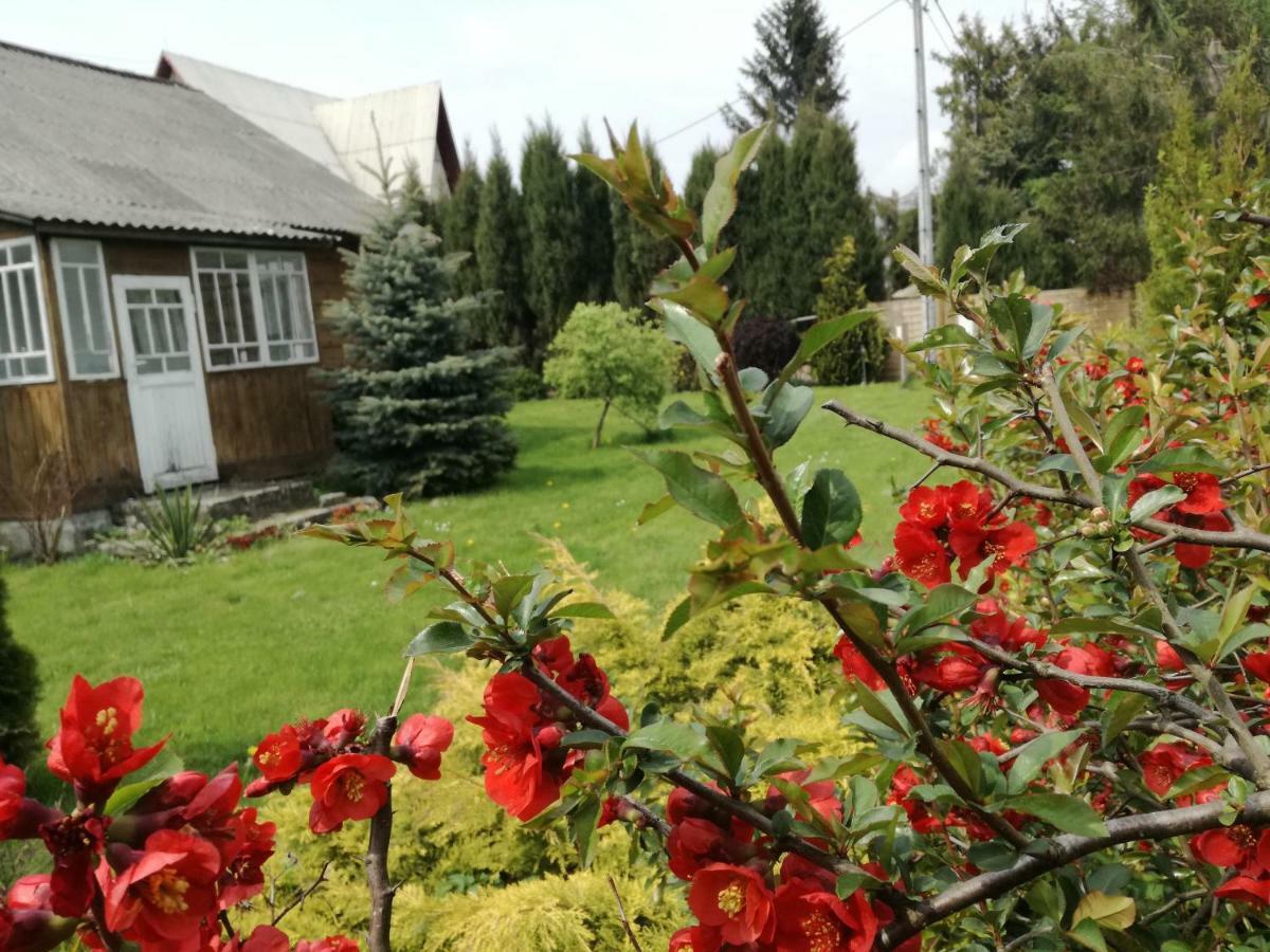 Siedlisko Jozefka Villa Zarobka Dış mekan fotoğraf
